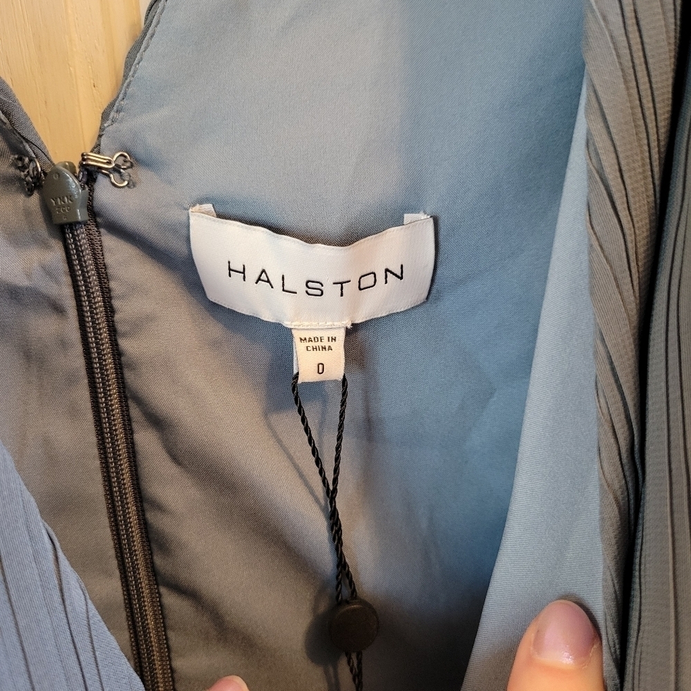 Halston Maren Dress In Pleated Chiffon - Picture 5 of 10